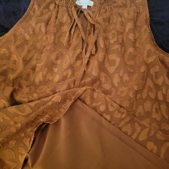 Rusty Top, short sleeve with lining. - Picture 3 of 6